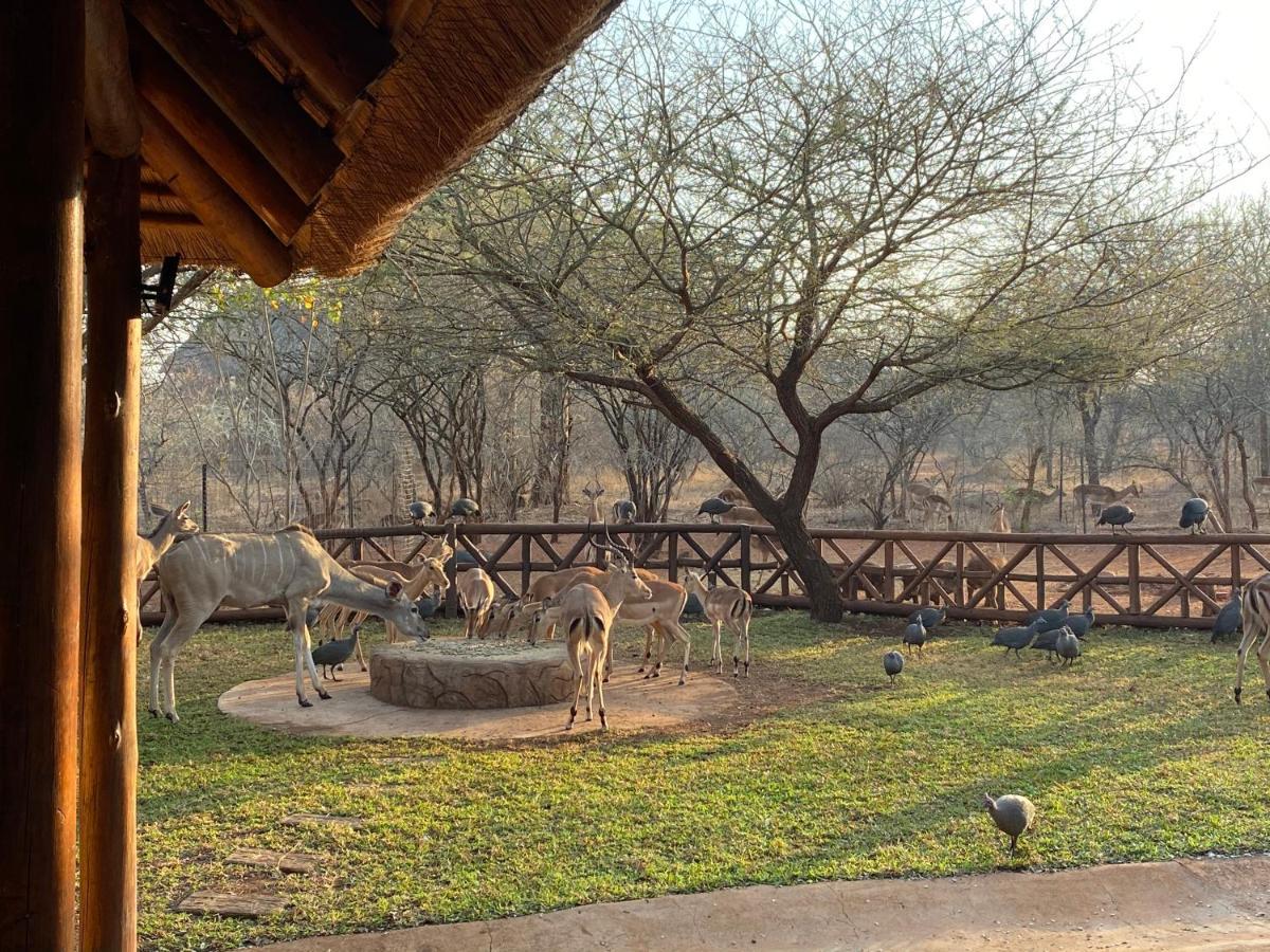 Villa Genet House Marloth Park Exterior foto
