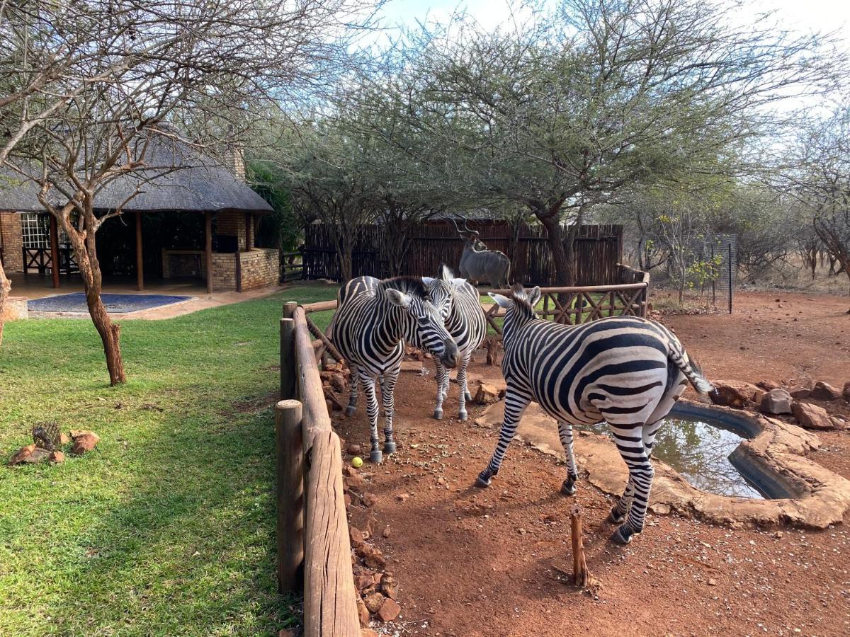 Villa Genet House Marloth Park Exterior foto
