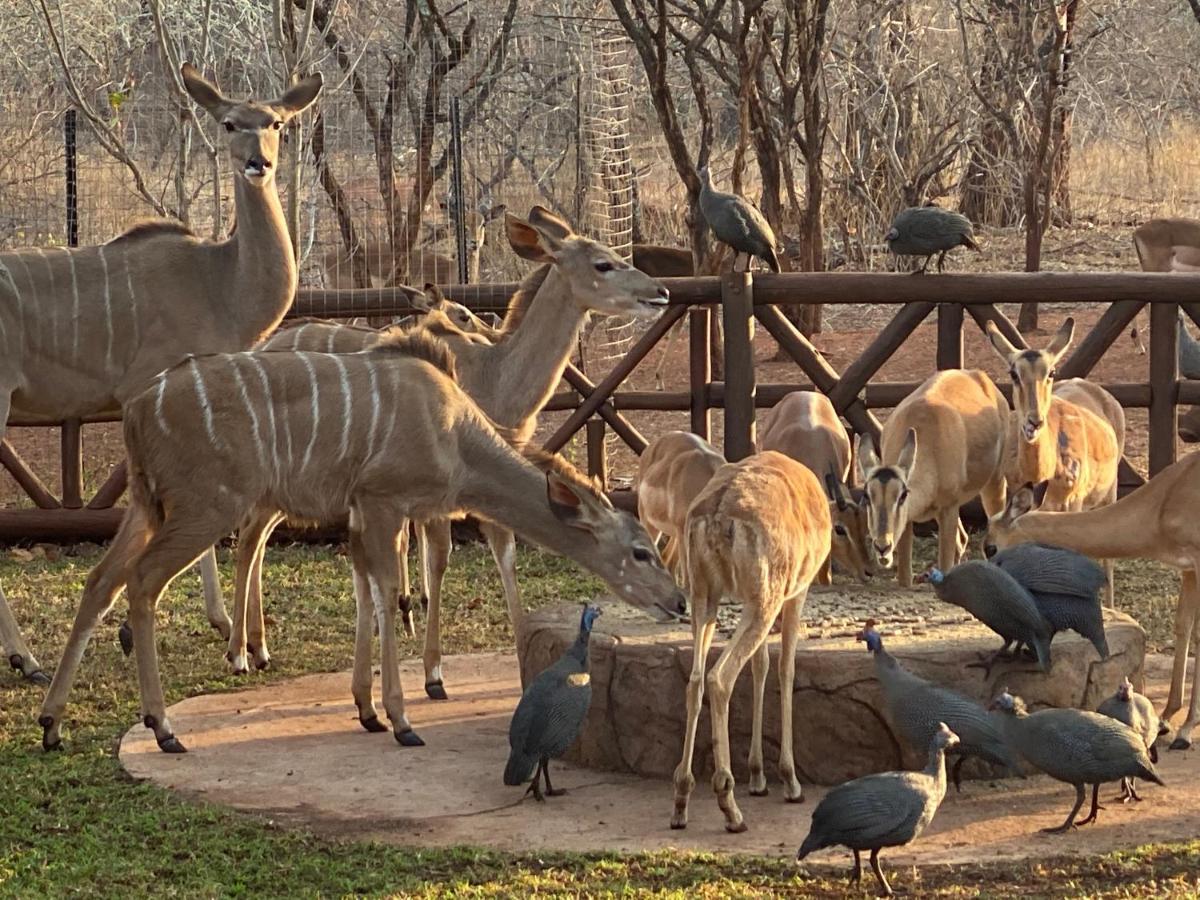 Villa Genet House Marloth Park Exterior foto