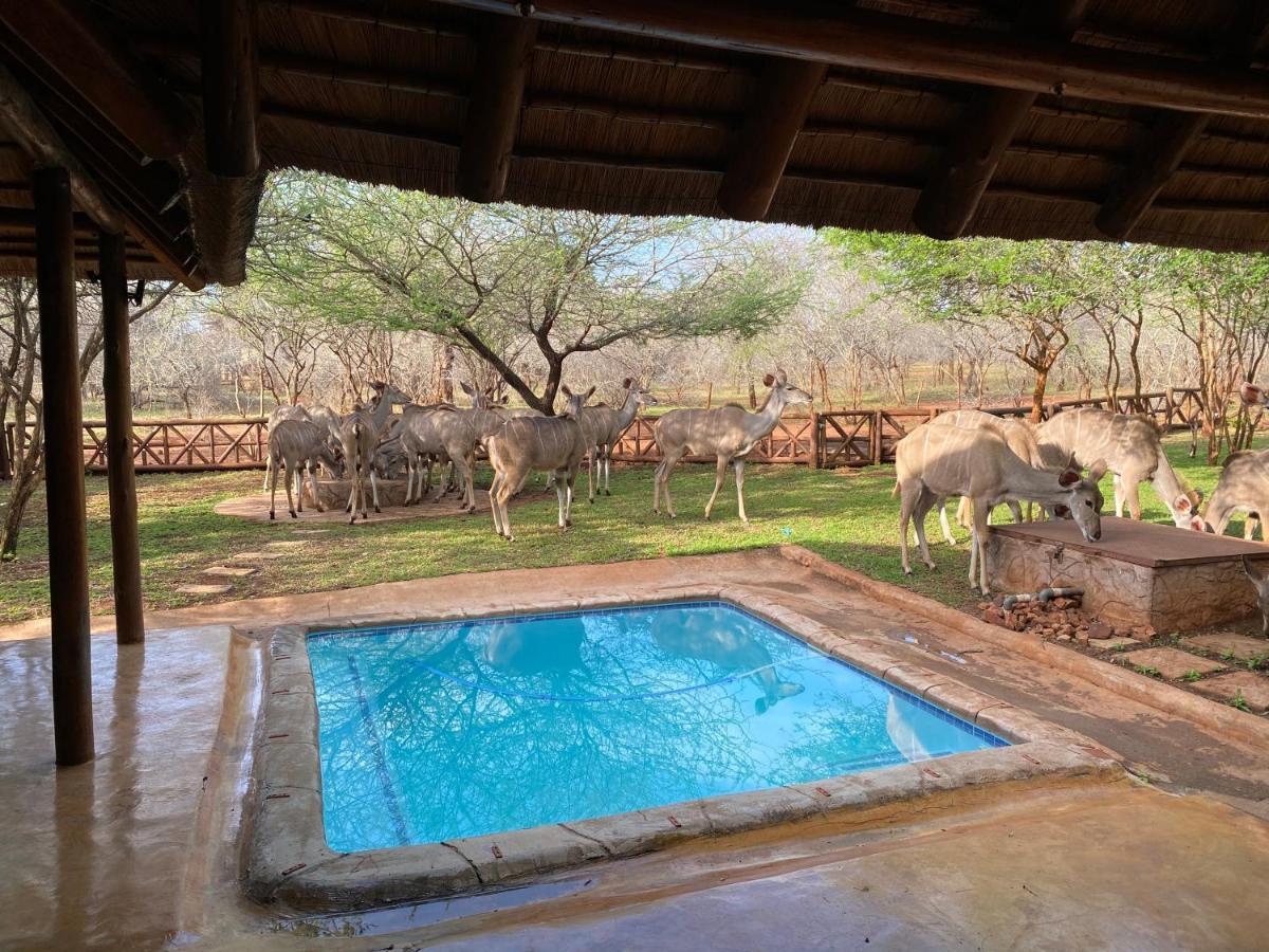 Villa Genet House Marloth Park Exterior foto